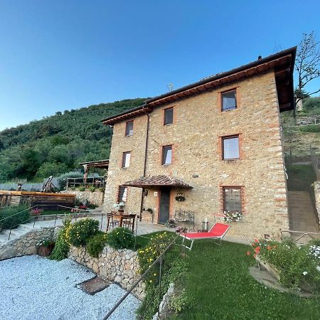B&B Il Volo Camaiore Dış mekan fotoğraf