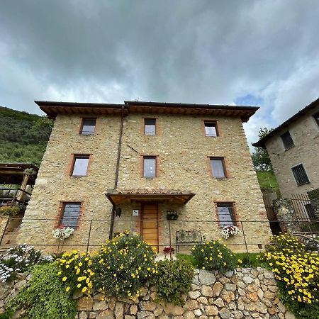 B&B Il Volo Camaiore Dış mekan fotoğraf