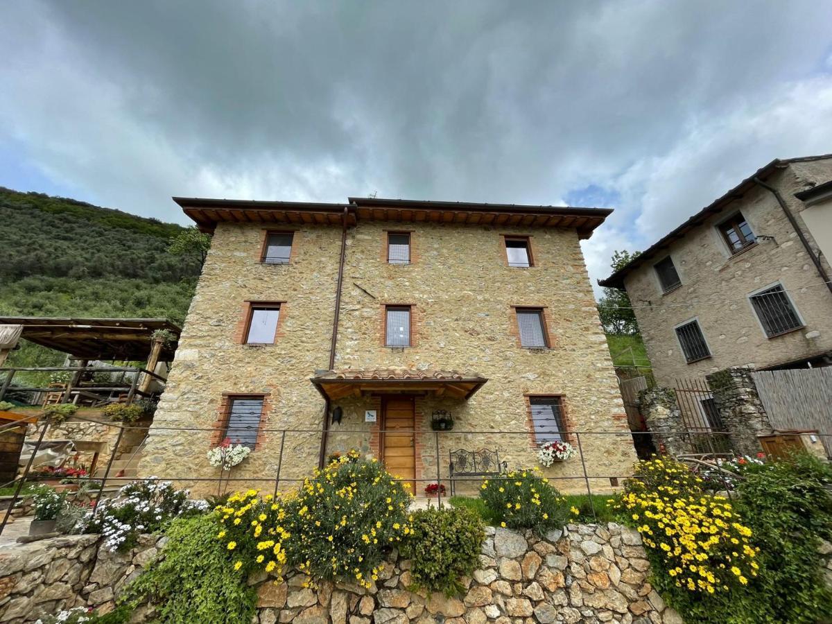 B&B Il Volo Camaiore Dış mekan fotoğraf