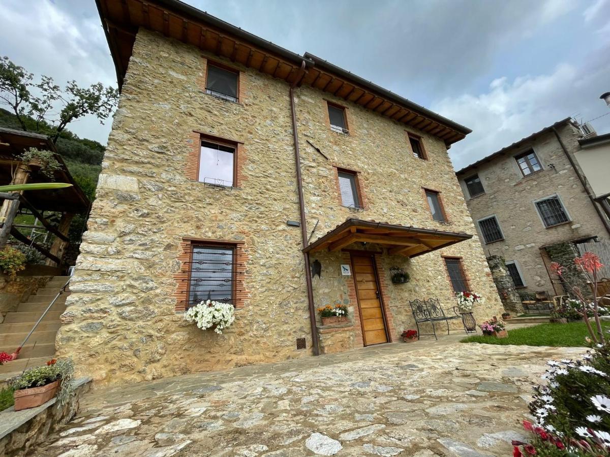 B&B Il Volo Camaiore Dış mekan fotoğraf