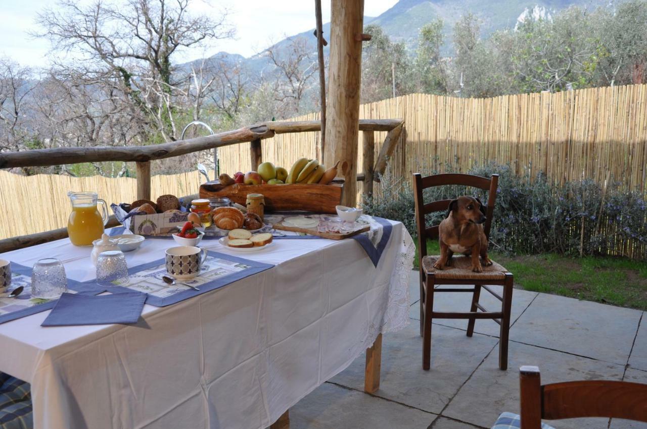B&B Il Volo Camaiore Dış mekan fotoğraf