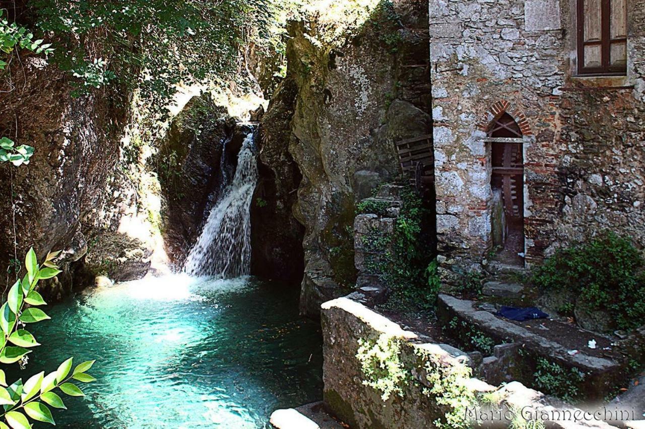 B&B Il Volo Camaiore Dış mekan fotoğraf
